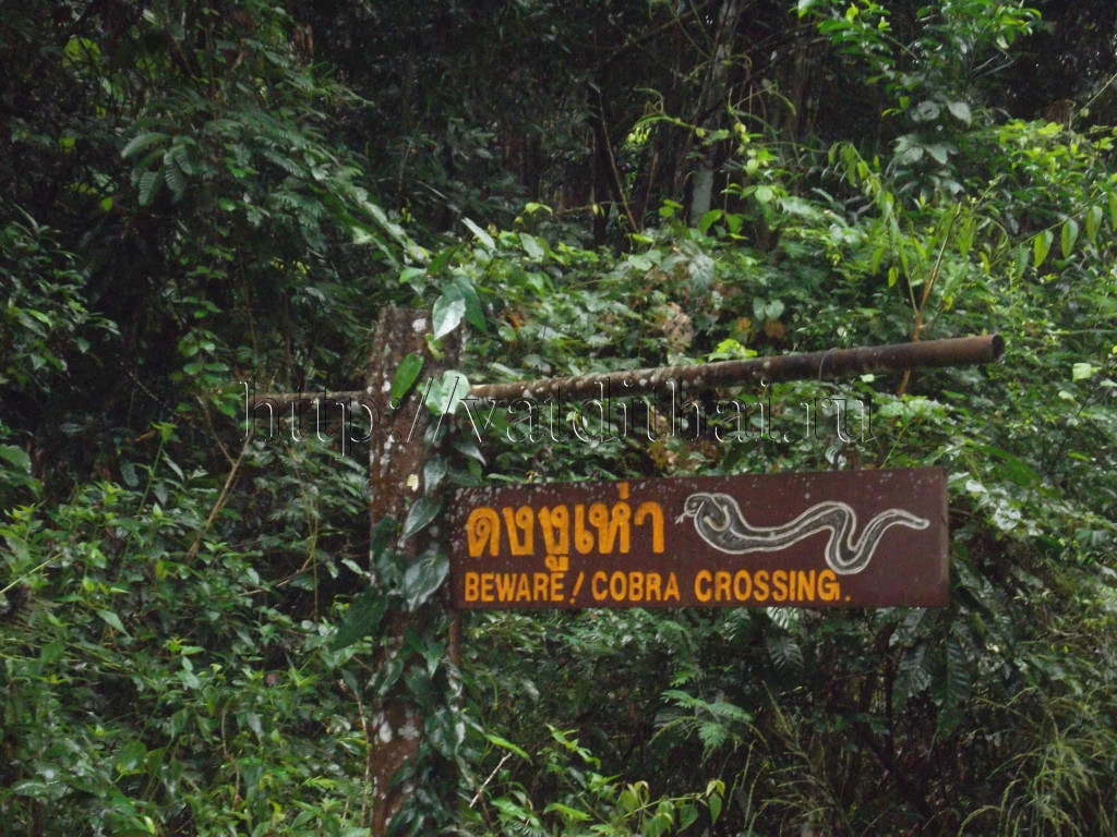 Национальный парк Таиланда Кхауяй